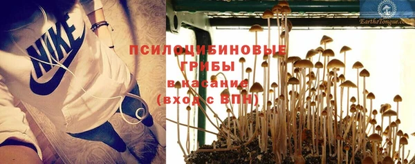 эйфоретик Гусиноозёрск