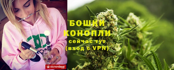 эйфоретик Гусиноозёрск