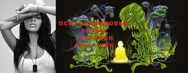 эйфоретик Гусиноозёрск
