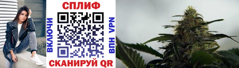 Канабис план  Купить где  Морозовск 